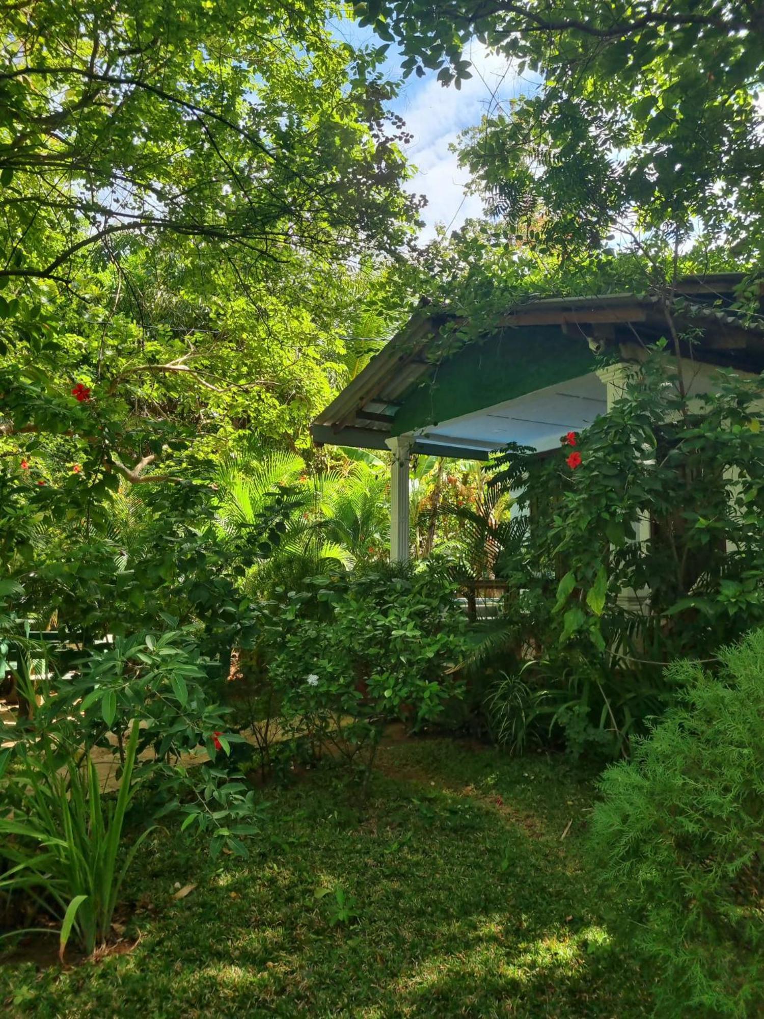 Sunrise Cottage Sigirîya Extérieur photo