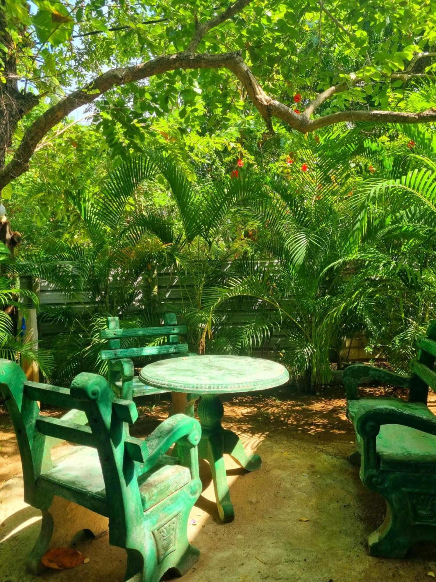 Sunrise Cottage Sigirîya Extérieur photo