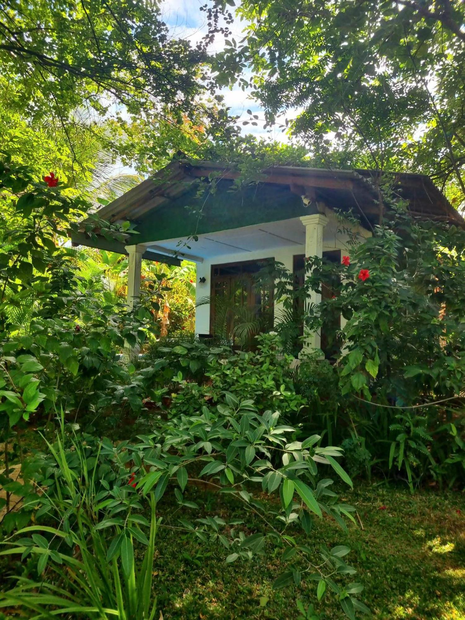 Sunrise Cottage Sigirîya Extérieur photo